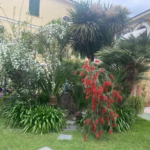 Angelina Casa Limone Vallecrosia